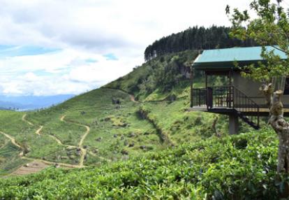 Voyage au Sri Lanka de Robert et Martine