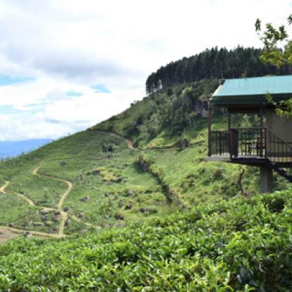 Voyage au Sri Lanka de Robert et Martine