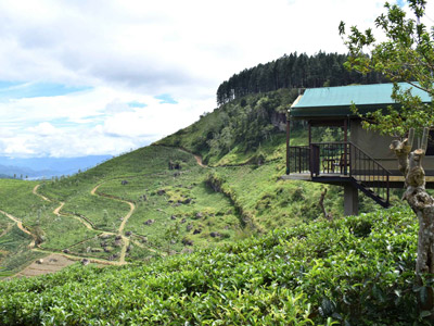 Voyage au Sri Lanka de Robert et Martine