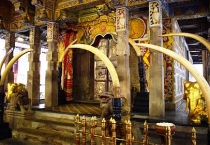 Voyage au Sri Lanka de Robert et Martine