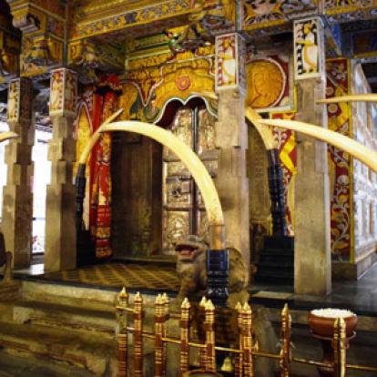 Voyage au Sri Lanka de Robert et Martine