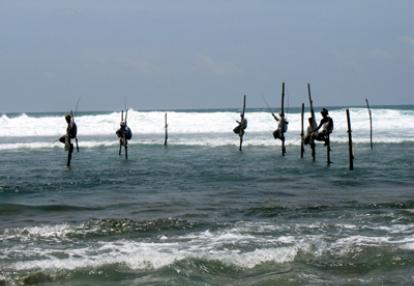 Circuit Au Sri Lanka