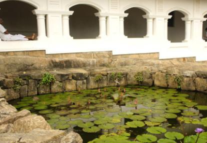 Circuit Au Sri Lanka de Véronique