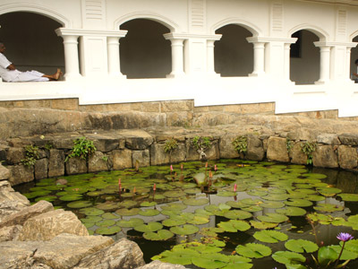 Circuit Au Sri Lanka de Véronique