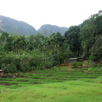 Circuit Au Sri Lanka de Véronique