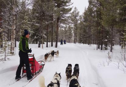 Voyage en Suède de Terry et Bruno