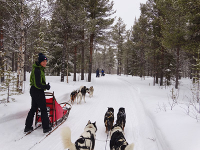 Voyage en Suède de Terry et Bruno