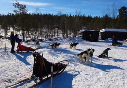 Voyage en Suède de Terry et Bruno