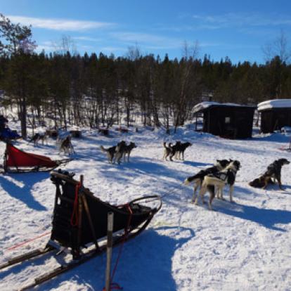 Voyage en Suède de Terry et Bruno