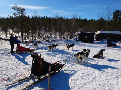 Voyage en Suède de Terry et Bruno