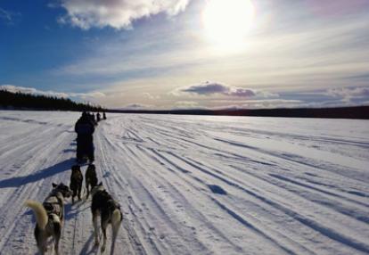 Voyage en Suède de Terry et Bruno