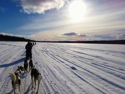 Voyage en Suède de Terry et Bruno