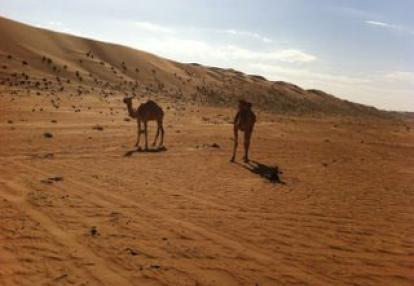 Voyage à Oman de Catherine, Adeline et Thomas