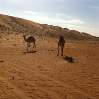 Voyage à Oman de Catherine, Adeline et Thomas