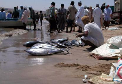 ©Serge C. - Tous Droits réservés Le Voyage à Oman de Serge et Michèle