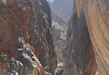 ©José W. - Tous Droits réservés Voyage au Sultanat d'Oman de Monique et Georges