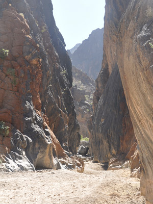 ©José W. - Tous Droits réservés Voyage au Sultanat d'Oman de Monique et Georges