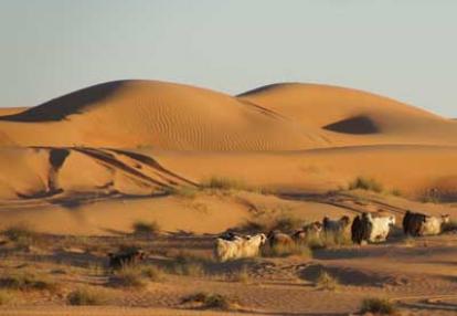 ©Famille Isabelle C. - Tous Droits réservés Voyage au Sultanat d'Oman d'Isabelle