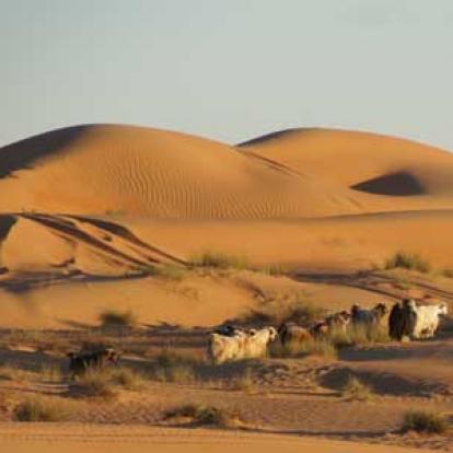 Voyage au Sultanat d'Oman d'Isabelle