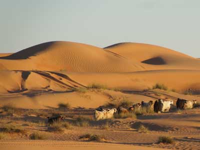Voyage au Sultanat d'Oman d'Isabelle