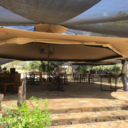 safari en Tanzanie de René