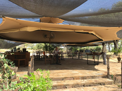 safari en Tanzanie de René