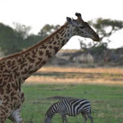Voyage n Tanzanie de Caro et Ad.