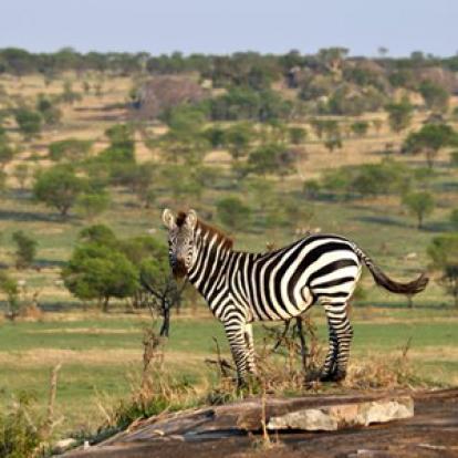 Voyage n Tanzanie de Caro et Ad.