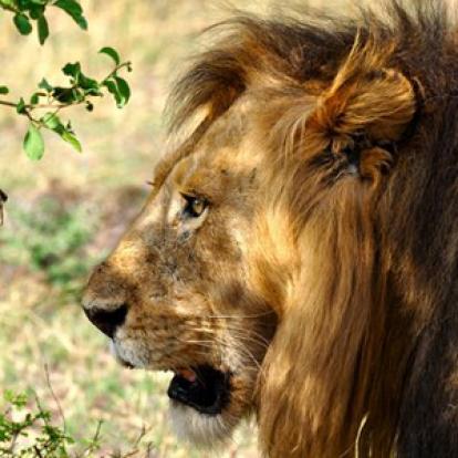 Voyage n Tanzanie de Caro et Ad.