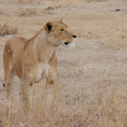Voyage en Tanzanie d'Etienne