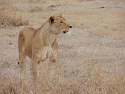Voyage en Tanzanie d'Etienne