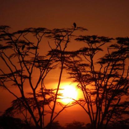 Voyage en Tanzanie d'Etienne