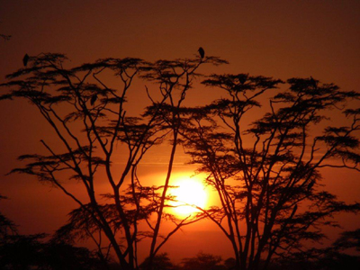 Voyage en Tanzanie d'Etienne