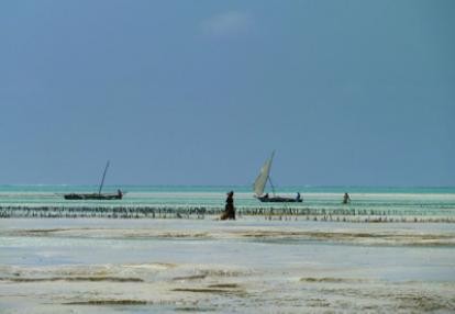 Voyage en Tanzanie de Bérangère et Benjamin