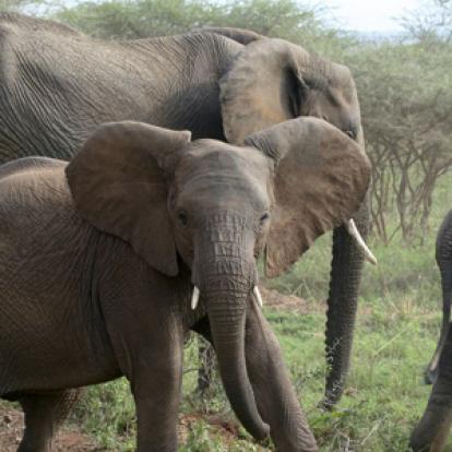 Voyage en Tanzanie de Bérangère et Benjamin