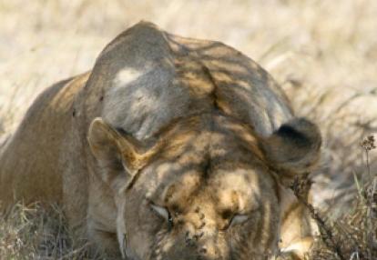 Voyage en Tanzanie de Bérangère et Benjamin