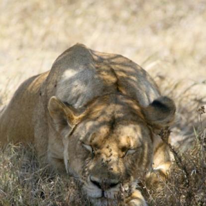 Voyage en Tanzanie de Bérangère et Benjamin