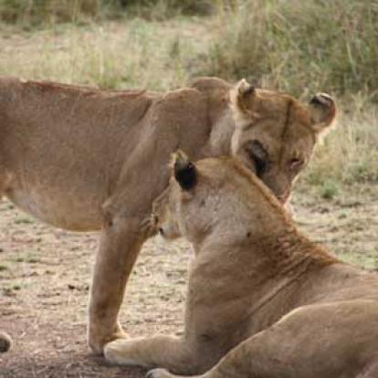 Voyage en Tanzanie de Stéphanie L.