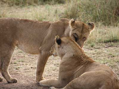 Voyage en Tanzanie de Stéphanie L.
