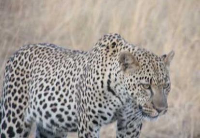 Voyage en Tanzanie de Stéphanie L.