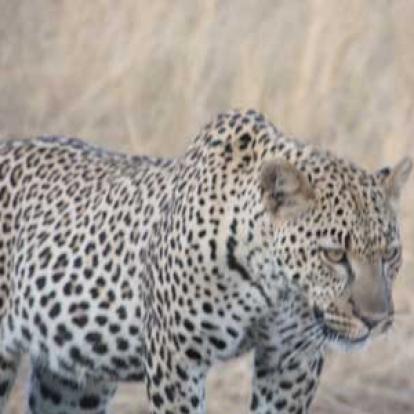 Voyage en Tanzanie de Stéphanie L.