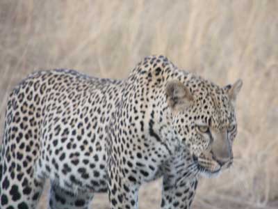 Voyage en Tanzanie de Stéphanie L.
