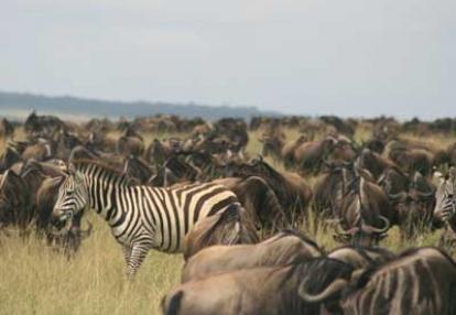 Voyage en Tanzanie de la Famille de Chantal