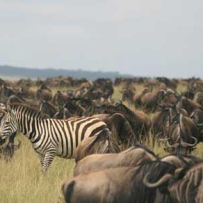 Voyage en Tanzanie de la Famille de Chantal
