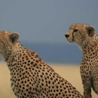 Voyage en Tanzanie de la Famille de Chantal