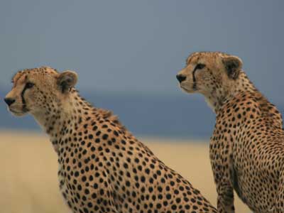 Voyage en Tanzanie de la Famille de Chantal