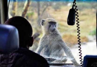 Voyage en Tanzanie de Stéphanie R.