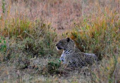 Voyage en Tanzanie de Stéphanie R.