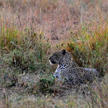 ©Stéphanie R. - Tous Droits Réservés Voyage en Tanzanie de Stéphanie R.
