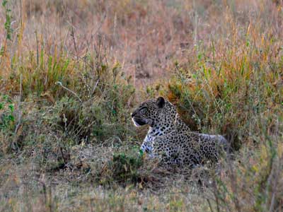 ©Stéphanie R. - Tous Droits réservés Voyage en Tanzanie de Stéphanie R.